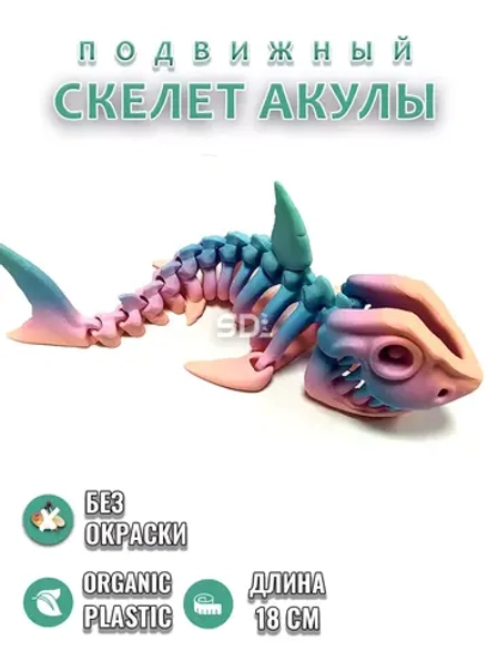 Скелет Акула