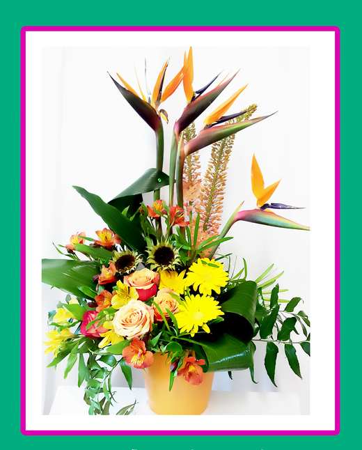 Пляжные мечты