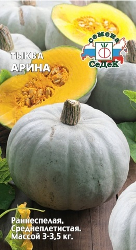 тыква Арина