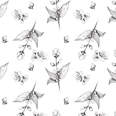 Ветки жасмина