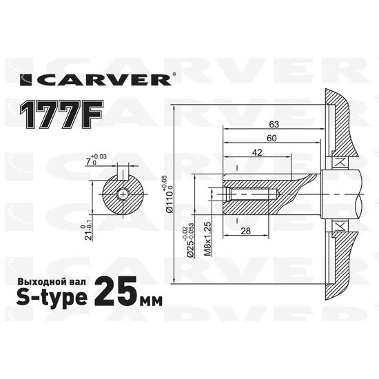 Двигатель бензиновый "CARVER" 177FL (9 л.с.)