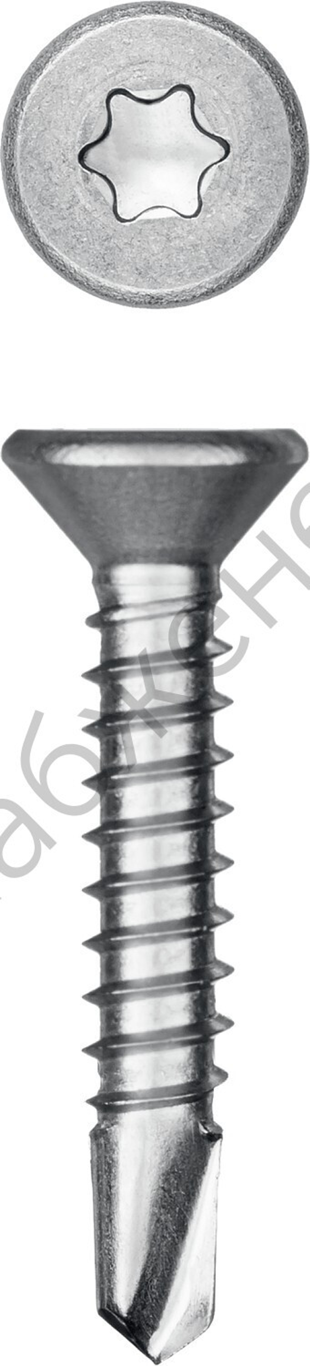 KRAFTOOL DS-C 25 х 4.2 мм, А2, сверло, потай, ТХ20, саморез нержавеющий, 400 шт (300932-42-025)