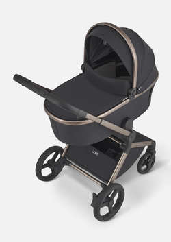 Anex Детская коляска Flo 2 в 1 Solo