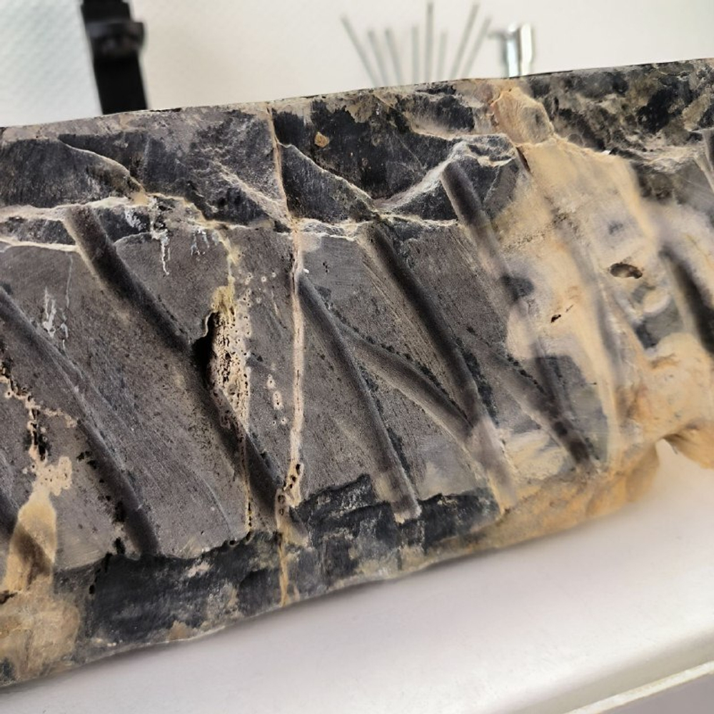 Раковина из окаменелого дерева Fossil Basin OD-02736 51*47*15 см