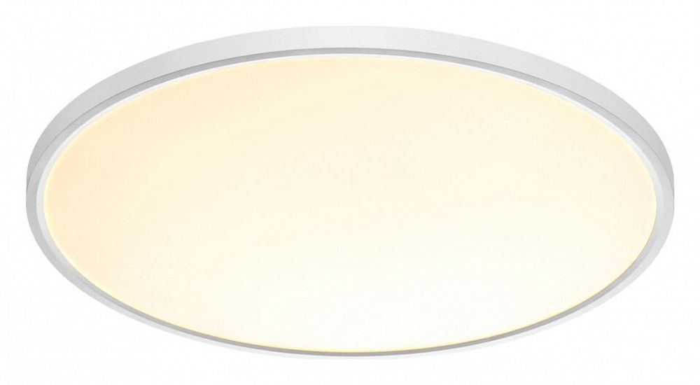 Накладной светильник Sonex Alfa White 7659/48L