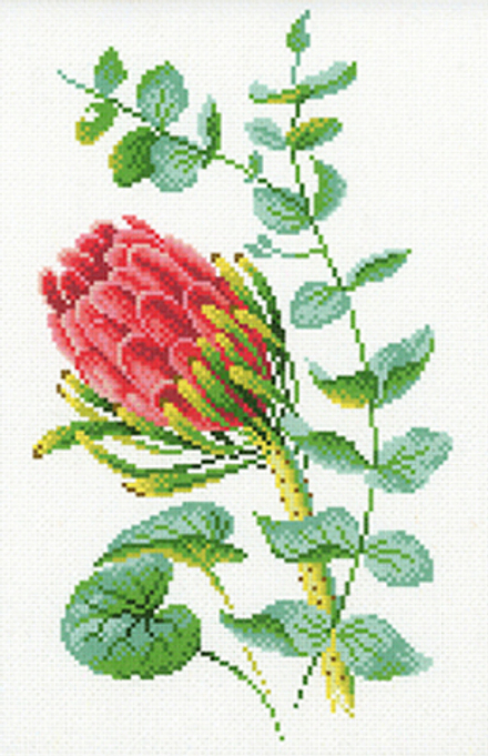 Рисунок-схема на канве для вышивания крестом "Протея", 40 х 30 см / 30 х 20 см (Россия)