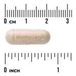 Swanson Vitamins, Full Spectrum®, гриб чага, 400 мг, 60 капсул