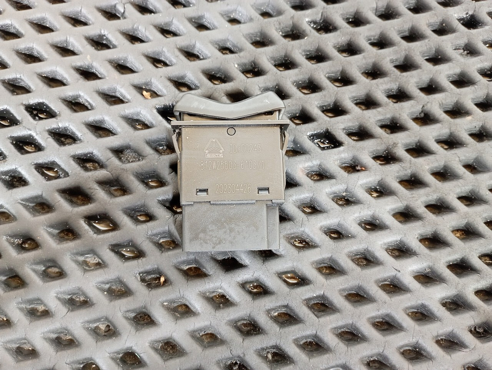 Кнопка электролюка