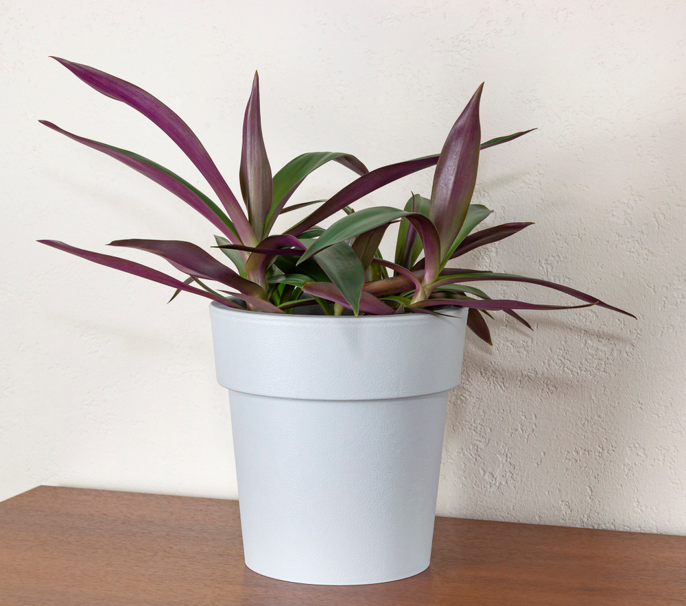 Кашпо ТУБУС 200мм 2,5л М3165