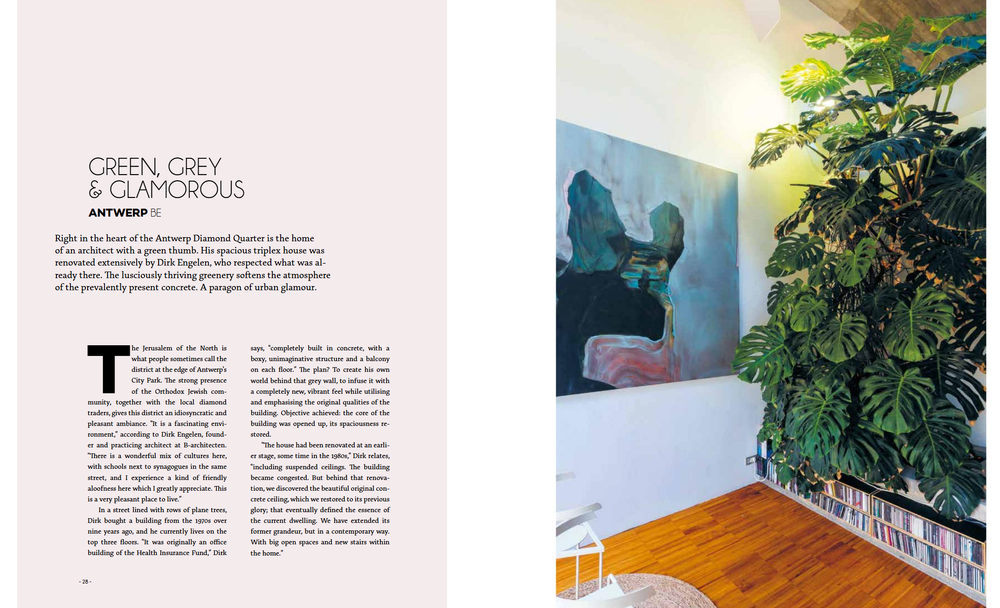 Ultimate Wonder Plants: Your Urban Jungle Interior