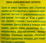Липа пушистая Королевское золото СМЦ-662