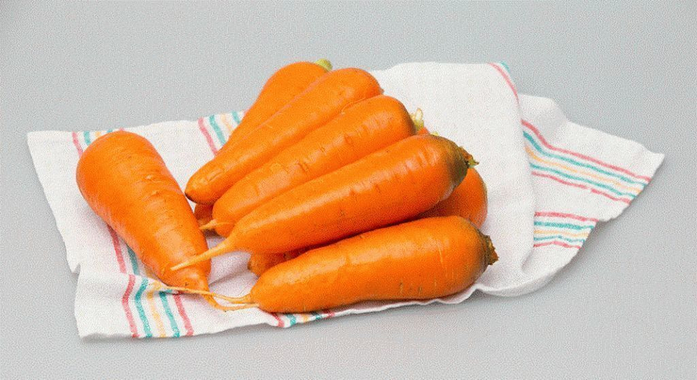 Абако F1 семена моркови курода/шантане (Seminis / Семинис)