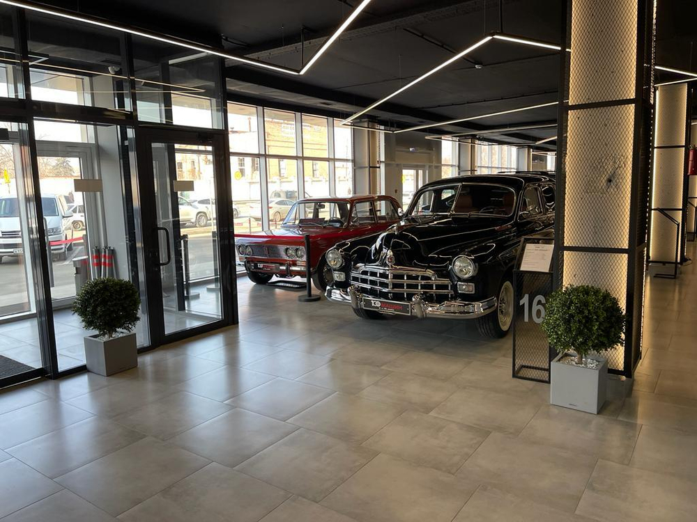 Искусственные растения для автосалона «100 машин»