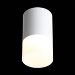 ST100.502.05 Светильник потолочный Белый LED 1*5W 3000K 390Lm Ra&gt;80 120° D64xH110 170-240V Накладные светильники