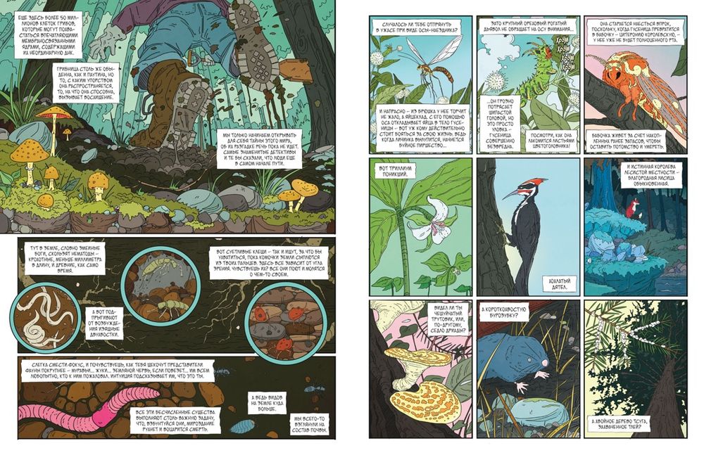 Комикс Рыцарь-гриб. Том 1