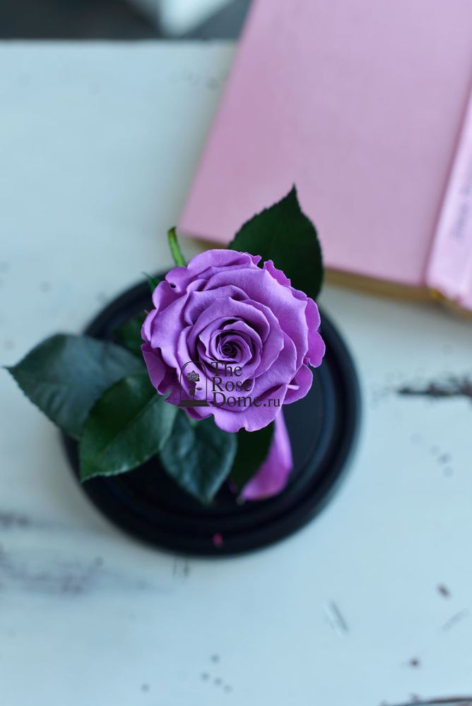 Роза в колбе 22см лиловая