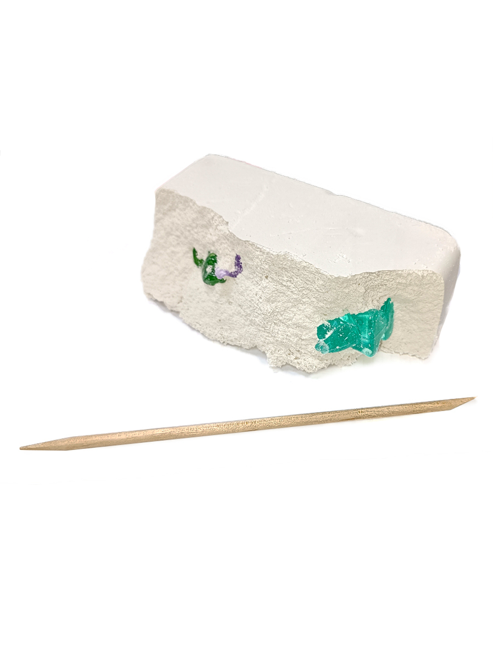 Раскопки 17 артефактов (2 диноз, 15 ракушек)