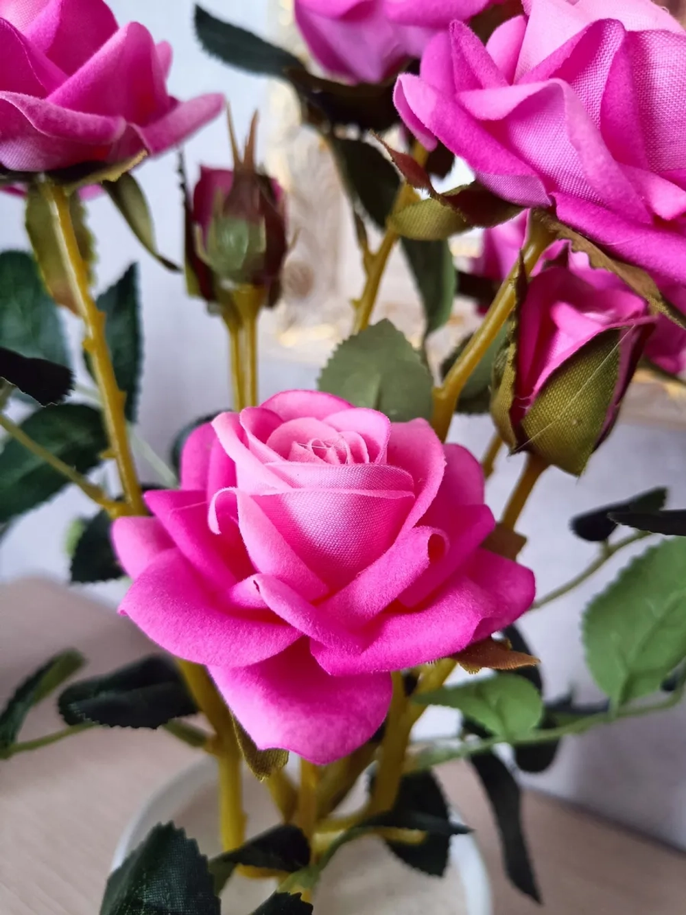 Роза кустовая бархатная, без кашпо.