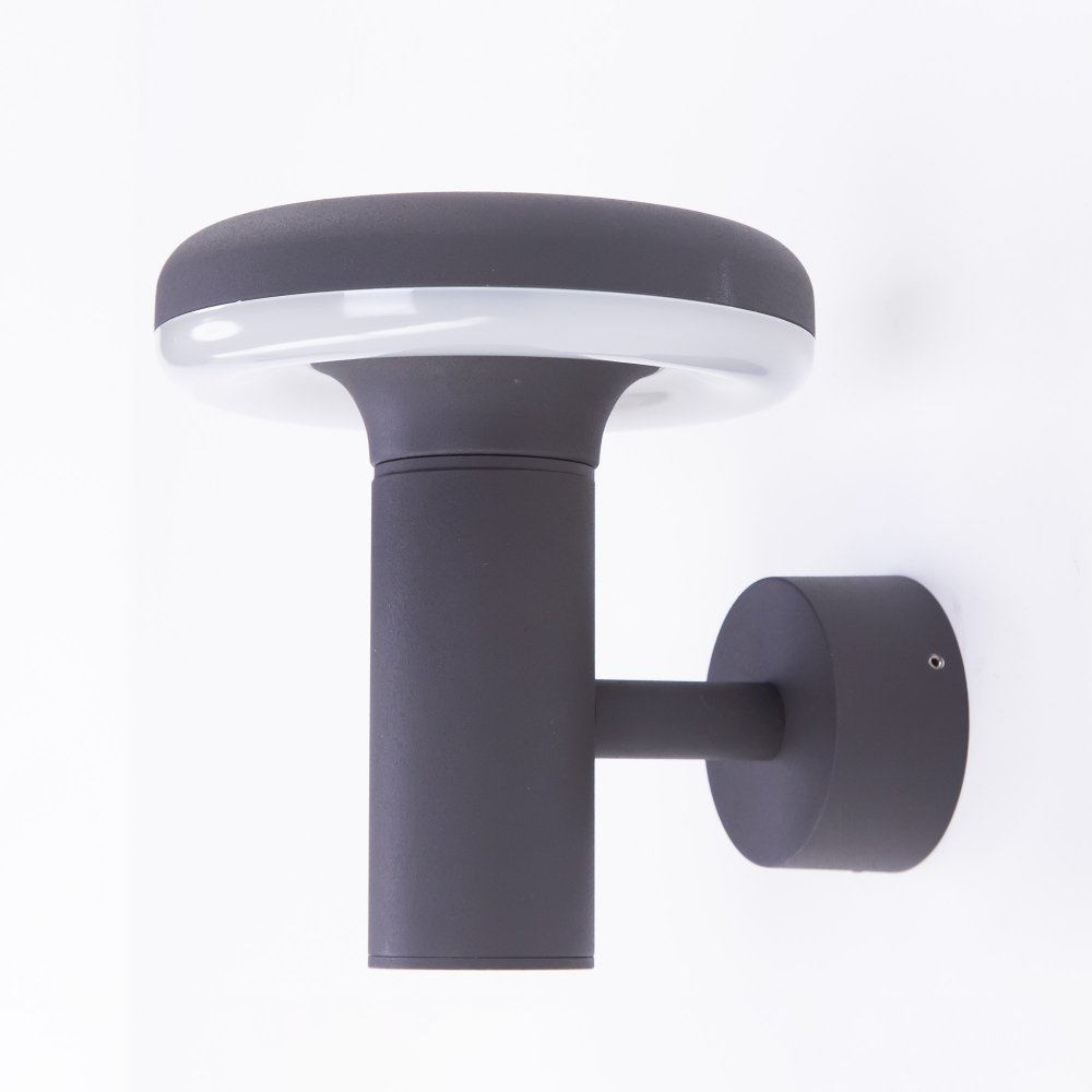 Citilux GARDA CLU01W LED Уличный настенный светильник Графит