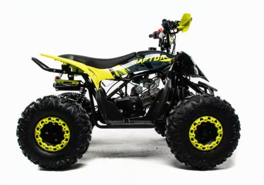 Квадроцикл MOTOLAND (МОТОЛЕНД) 125 RAPTOR A