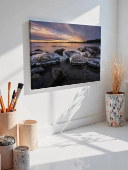 Картина на стену 40 X 50 Медузы