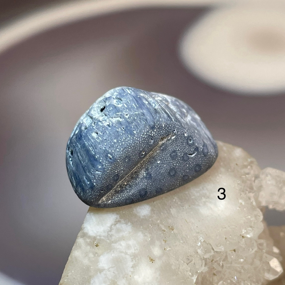 62222 Коралл голубой Галтовка 20-39мм--23