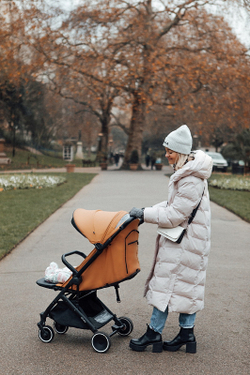 Детская прогулочная коляска Anex AIR-X toffee