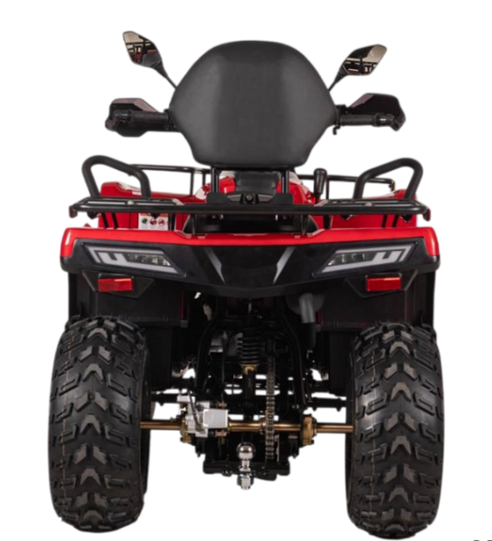 Квадроцикл Bizon YK200 BASIC CARB