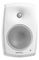 Genelec 4430AW