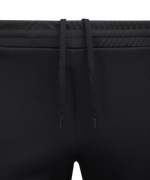Брюки тренировочные DIVISION PerFormDRY Pro Training Pants 3/4, черный