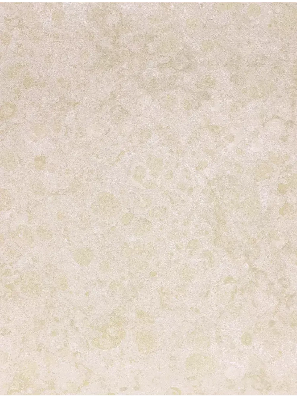 Обои флизелиновые 31026 Platinum Германия