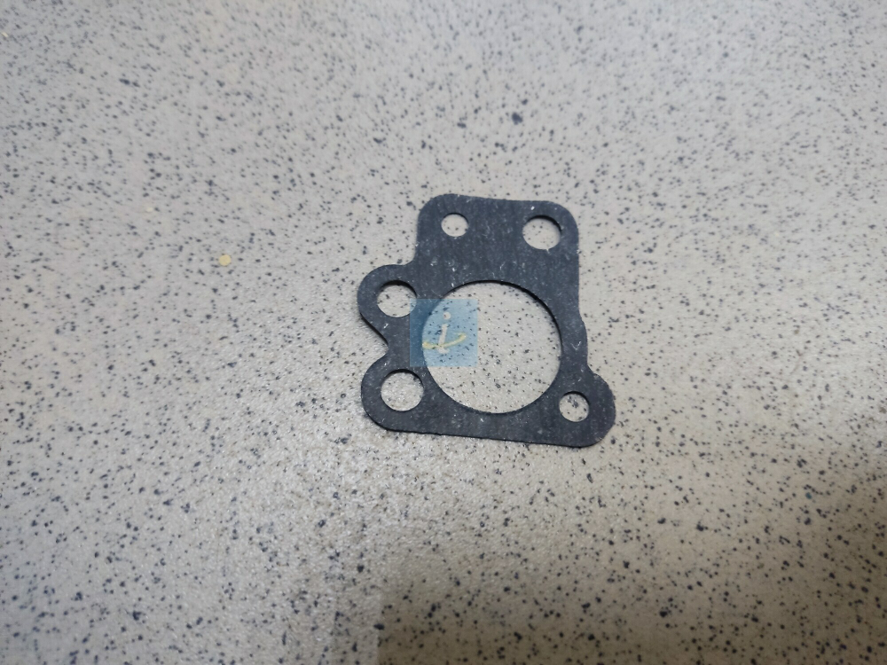 Прокладка корпуса мембраны 421.1110881