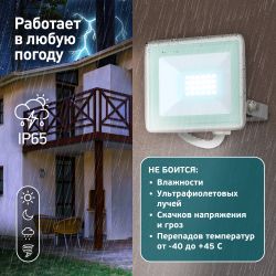 Прожектор светодиодный уличный ЭРА LPR-023-W-65K-030 30Вт 6500K 2400Лм IP65 белый