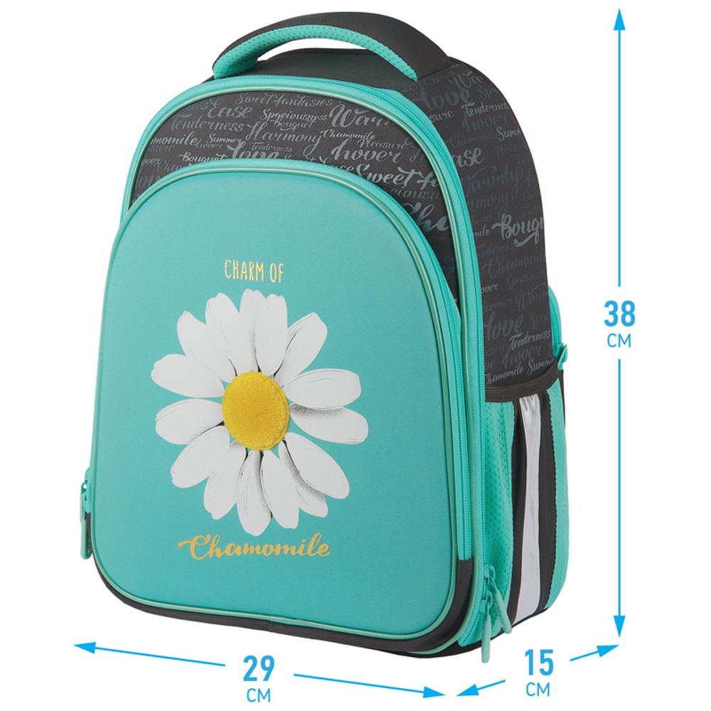 Ранец Berlingo Expert Plus Chamomile 38х29х15см, 2 отд., с анатомической спинкой