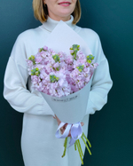 Ароматная маттиола,9шт(00408)