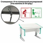 Стол-парта регулируемый "ДЭМИ" СУТ.43, 1000х550х530-815 мм, серый каркас, пластик аквамарин, рамух белый (КОМПЛЕКТ)