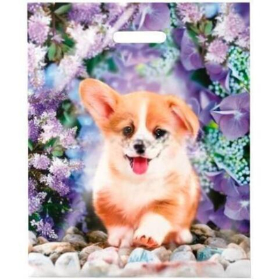 Пакет с прорубной ручкой ПВД 38х47 (60 мкм) "Рыжик" лам. (50/500 шт.) Интерпак