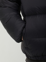 Мужской Пуховик Down Puffer