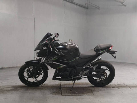 Kawasaki Z250 2013