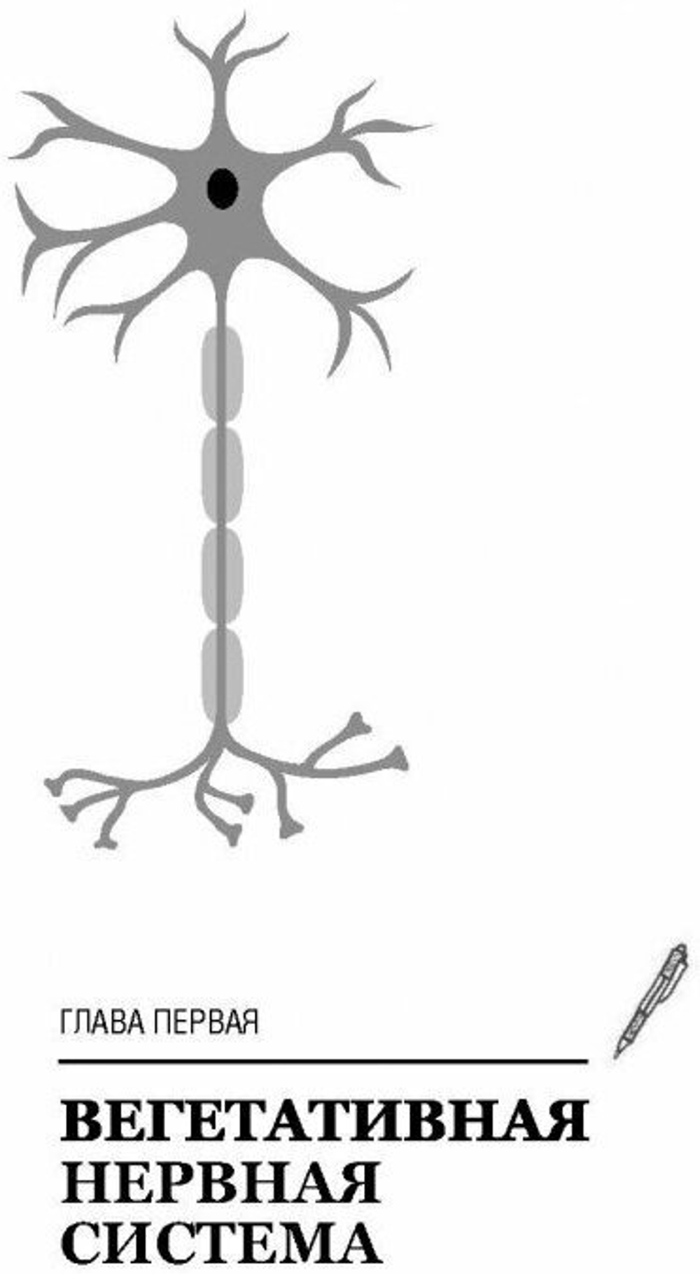 Как победить панические атаки, ВСД и невроз