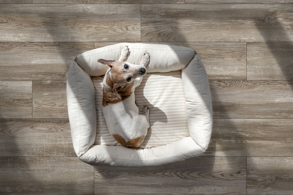 Керамогранит Bremen_GT Серо-бежевый 19,8x80 GT208022015MСR