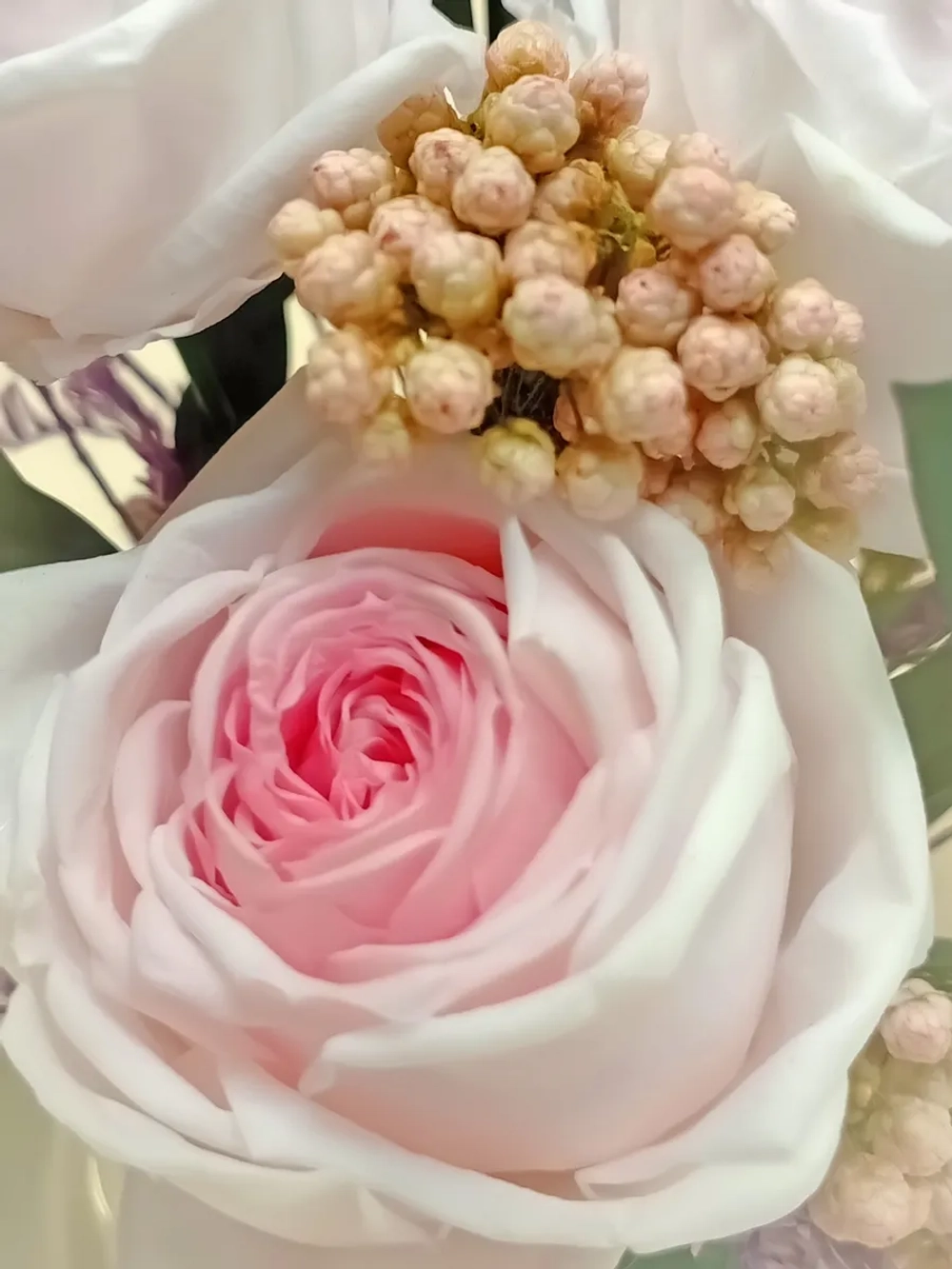 натуральные пионы в стекле, вакуум*