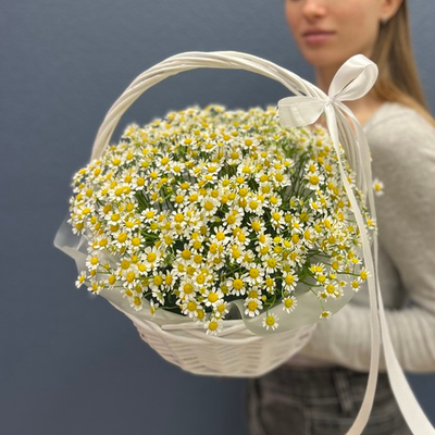 Корзина из 15 матрикарий #24