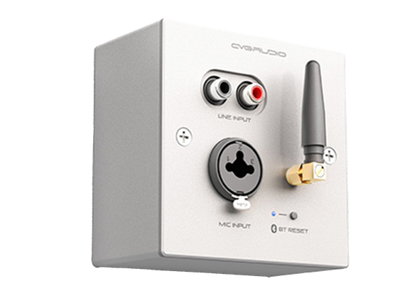 CVGAUDIO PW/EX-IN/W универсальная настенная панель для удаленного подключения балансного микрофона MIC IN
