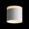 ST102.502.12 Светильник потолочный Белый LED 1*12W 3000K 936Lm Ra>80 120° IP20 D100xH90 170-240V Накладные светильники