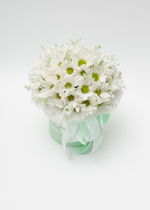 Коробочка хризантема М #15