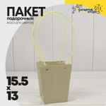 Пакет подарочный 15,5х13х9,5 Ваза для цветов (Зеленый)