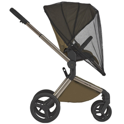 Детская коляска Anex Flo 2 в 1 Astra