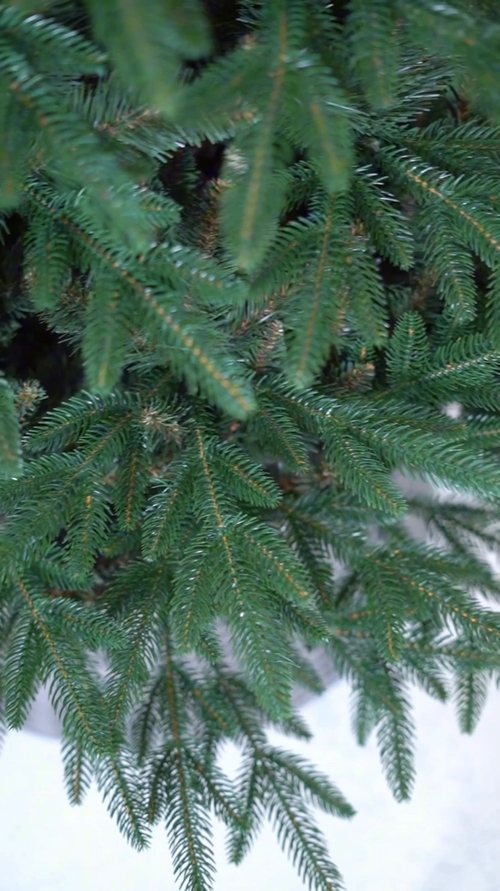 Ель искусственная «Смоленская» (Литая+пвх) 240 см / 2,4 м