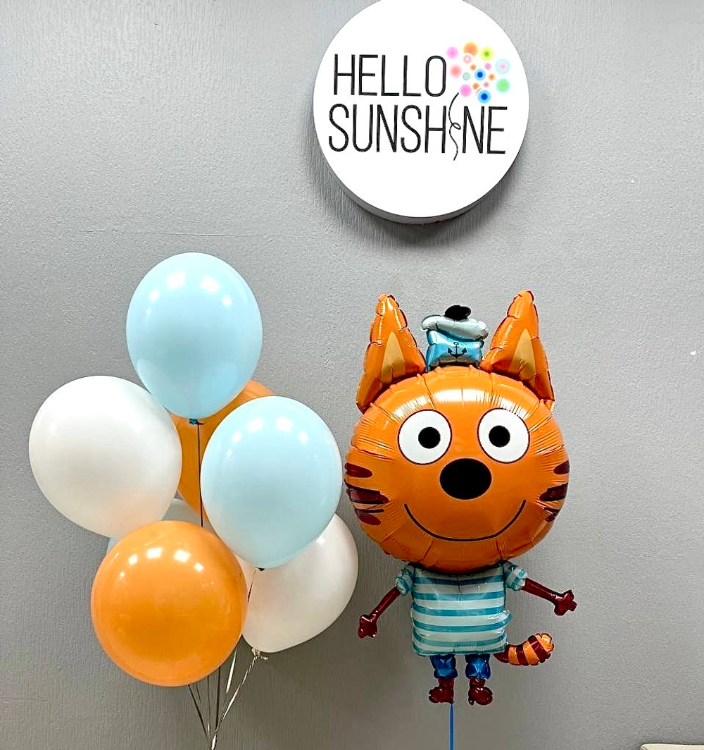 Набор шаров «Веселый Коржик»